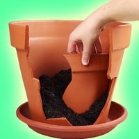 No tires las macetas de barro rotas: mirá cómo podés reutilizarlas para crear una nueva y sin gastar un peso