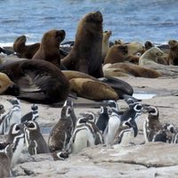 Islote Lobos es Parque Nacional