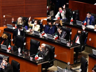 El Senado aprueba ley que prohíbe probar cosméticos en animales