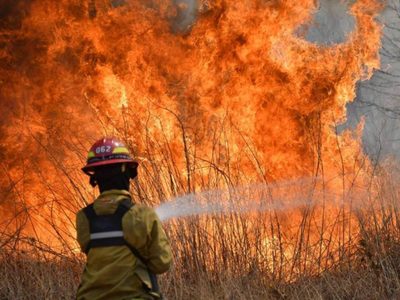 Corrientes, Misiones y Río Negro son las provincias con incendios activos