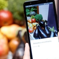 Narda Lepes lanza una app para incentivar consumo de verduras