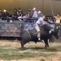 Toro mata al "Niño de Oro" durante un jaripeo en Atlixco, Puebla