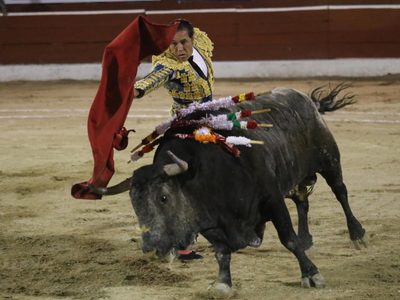 Discusión para prohibir las corridas de toros y peleas de gallos continuará en Congreso de la CDMX
