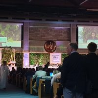 Científicos piden en la ONU medidas urgentes para detener impacto de productos químicos