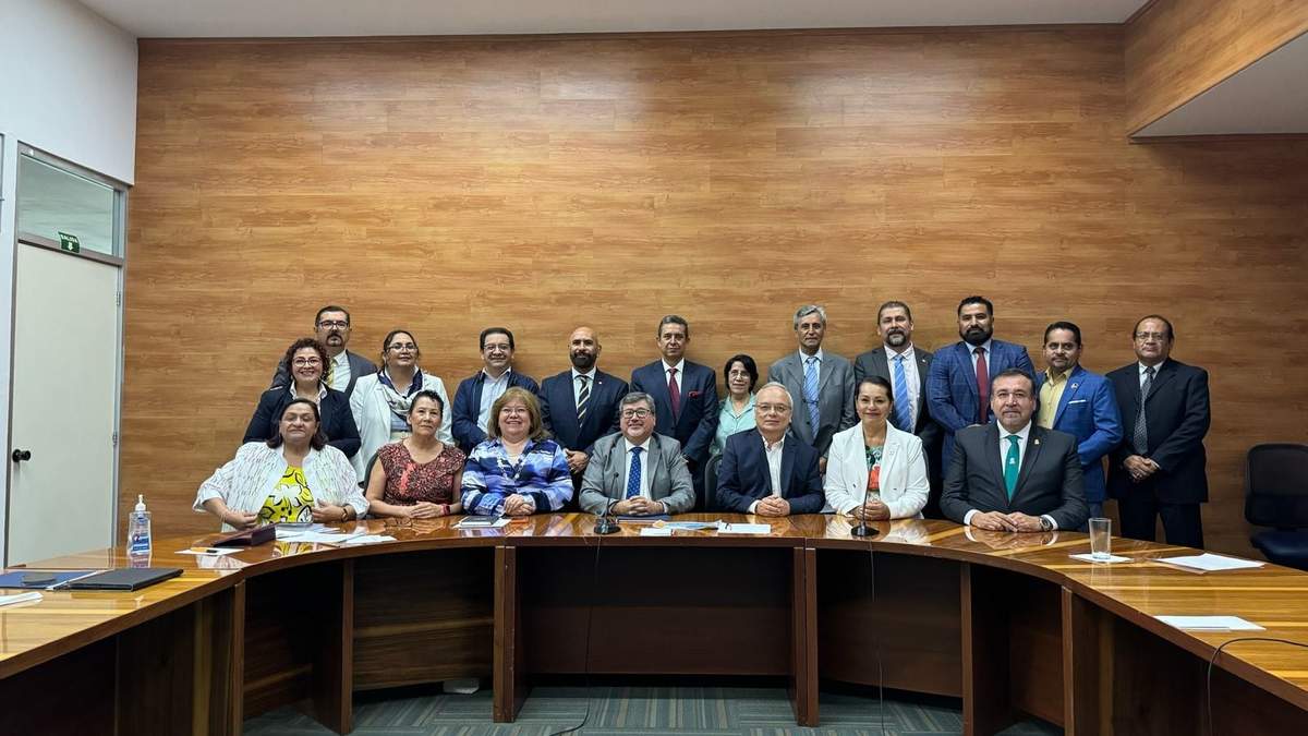 Grupo de coordinación de la UNAM, IPN y Colegio de Bachilleres contra grupos porriles