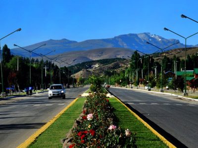 Buscan al hombre que golpeó a una perra contra el suelo hasta matarla