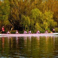 Se lanza la cuarta edición de la Regata Rosa en el Limay para concientizar sobre el cáncer de mama