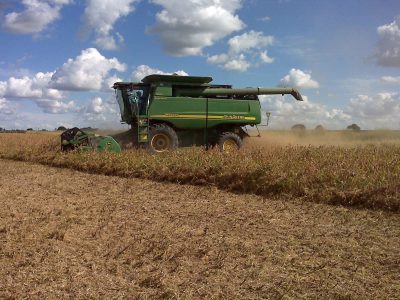 La producción de granos generaría US$ 36.800 millones en exportaciones