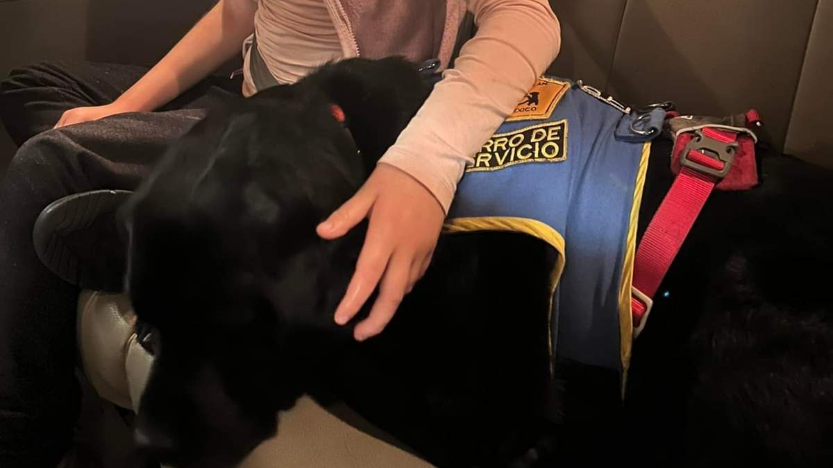 La menor y su perro de asistencia