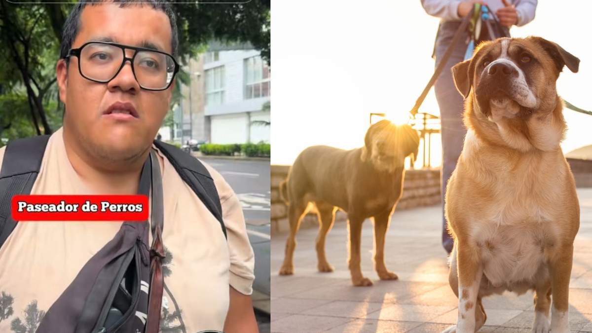 El cuidado de mascotas se ha profesionalizado, y con ello, los ingresos para quienes se dedican a pasear perros, una actividad que demanda organización.