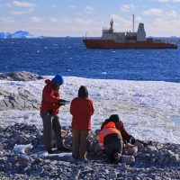 Deshielo en glaciares antárticos sin precedentes en 5 mil años