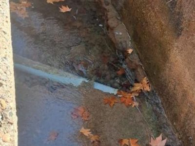 Luján: vecinos reclaman por una fuga de agua que lleva años sin solución