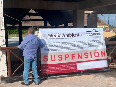 Profepa suspende las acrobacias con delfines en el hotel Barceló Riviera Maya (Video)