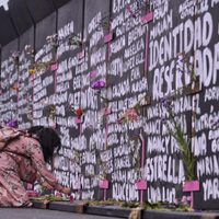 Refugios de mujeres violentadas en México están en riesgo por falta de presupuesto: RNR