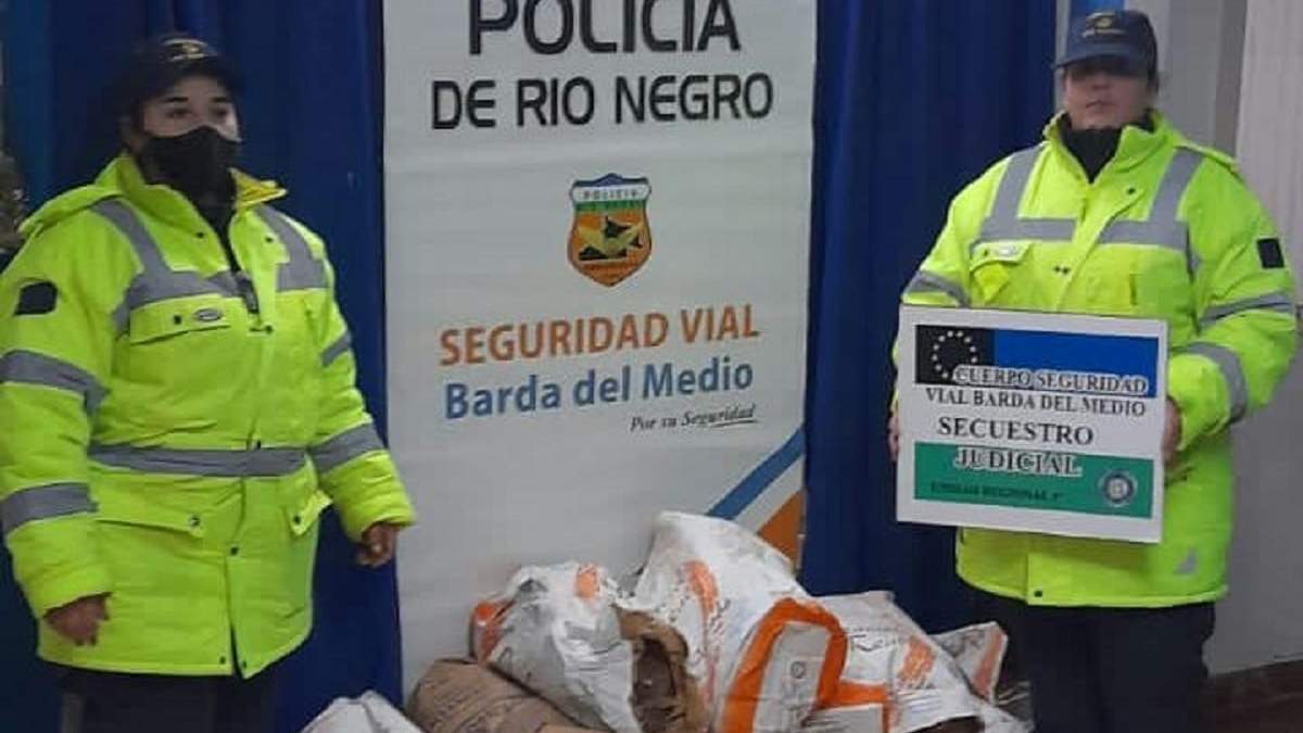 Los 240 kilos de carne fueron incautados durante un procedimiento de la Policía. Fuente: (Policía de Río Negro).