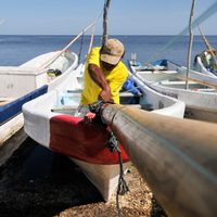 Pescadores de Campeche acusan inacción de gobierno ante robo de motores
