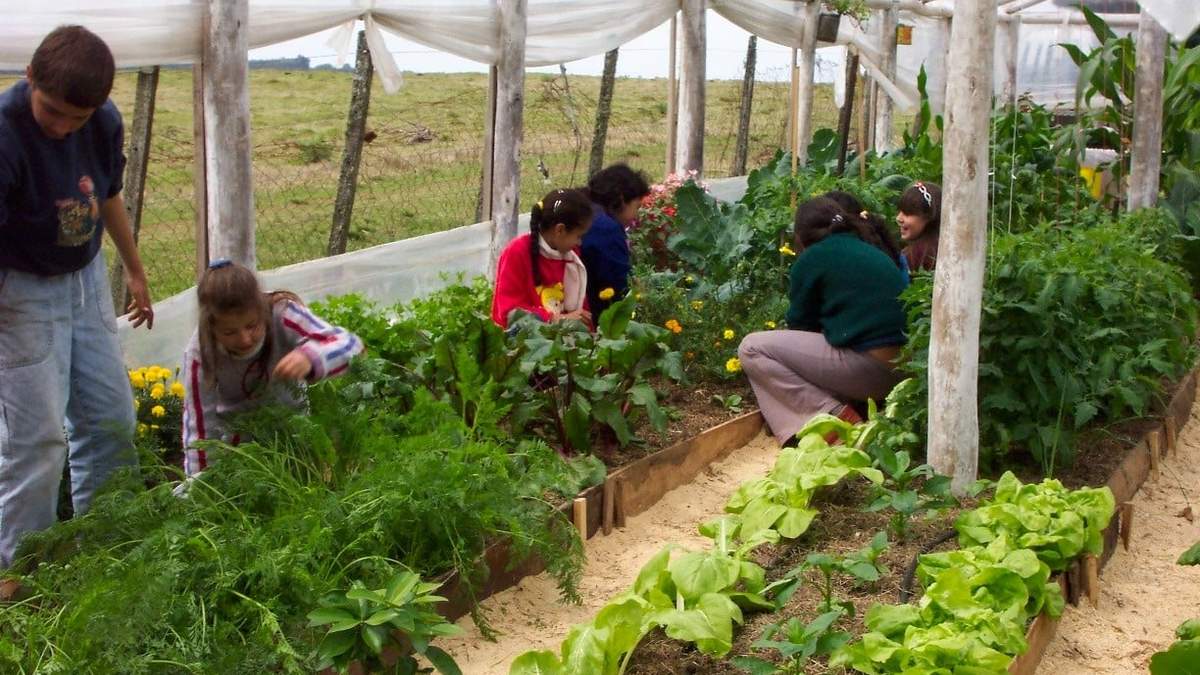 Crecen consultas por agroecología. Fuente: (Instagram)