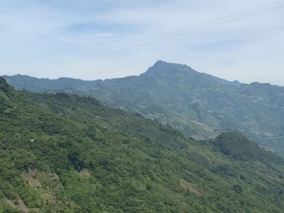 Organizaciones exigen suspensión inmediata y definitiva de la carretera San Cristóbal-Palenque