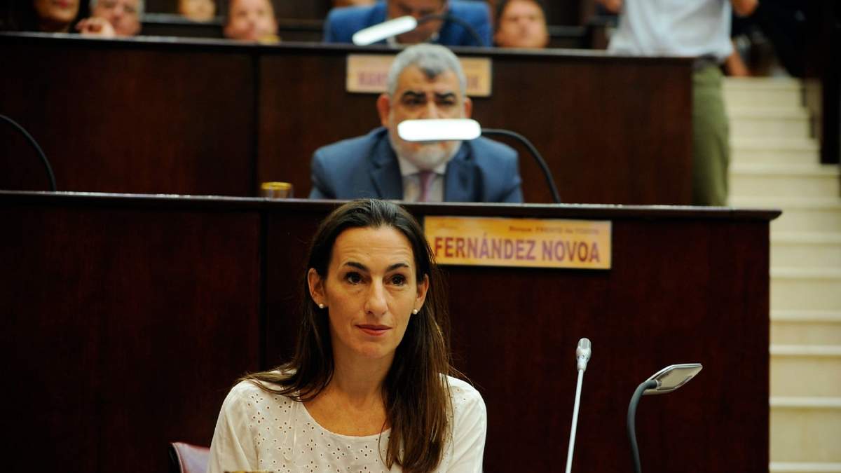 Soledad Salaburu, legisladora por el Frente de Todos. Fuente: (Twitter)