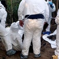 Dan con narcofosa en Nacajuca, Tabasco: cinco cuerpos... y podrían ser más