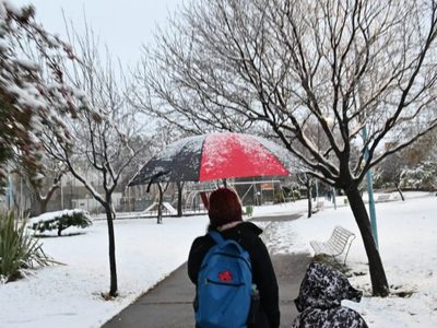 La nieve cubrió a localidades de Río Negro