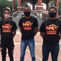 Por maltratar a un gato, imponen servicio comunitario a jóvenes y los obligan a disculparse