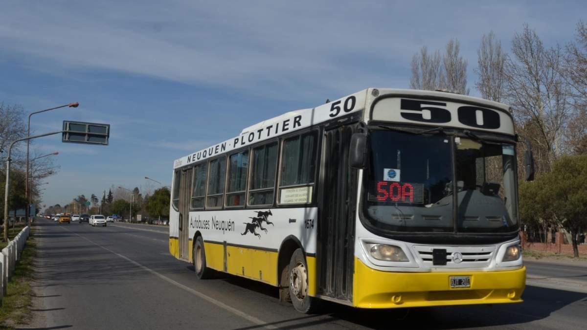 Colectivos en Plottier. Fuente: (Twitter)