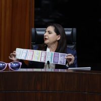 TEPJF invalida las sanciones del INE contra candidatos beneficiados por “acordeones” judiciales