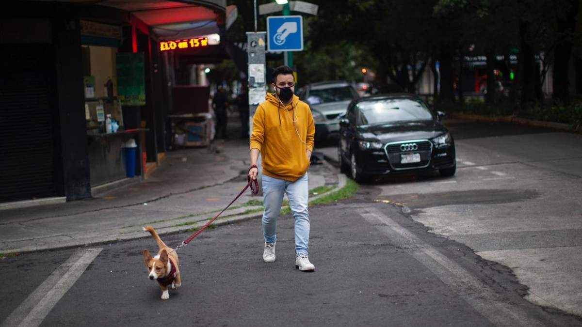 La Sader aseveró que no hay riesgo de la propagación del virus a humanos