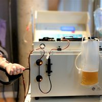 Coronavirus en Río Negro: todo lo que hay que saber sobre el tratamiento de plasma de recuperados