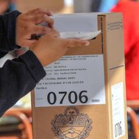 Elecciones: qué pasa si no voto este domingo