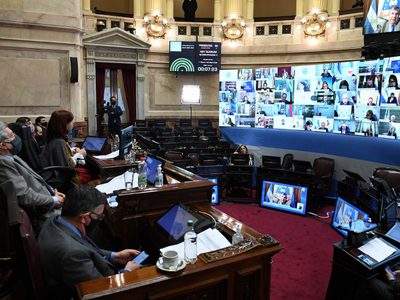 El Senado aprobó y convirtió en ley la extensión de la moratoria impositiva