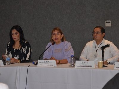 En grave riesgo el próximo proceso electoral en Colima: IEE