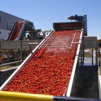 La pandemia visibilizó la importancia de la producción agroalimentaria