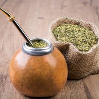 Descubrí los beneficios de la yerba mate respaldados por la ciencia: de la curación de heridas al impulso del sistema nervioso