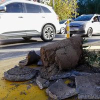 Un sujeto destrozó las macetas ubicadas en el centro de la ciudad de Neuquén