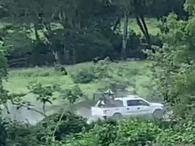 Balaceras tensan Aquila; serían choques del CJNG contra grupos de “El Toro” y  “Comandante Teto”