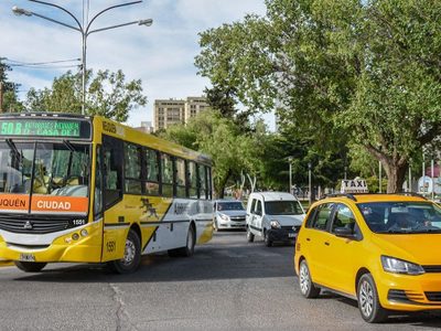Por el paro del transporte en Neuquén, la Municipalidad aplicará una multa a la empresa