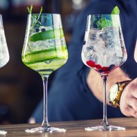 Por primera vez se realizará la Expo Gin de la Patagonia en Neuquén: conocé dónde y cuándo
