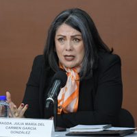 Jueces: “sospechoso”, el incremento de aspirantes en comités del Ejecutivo y Legislativo