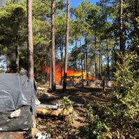 Destruyen 15 campamentos utilizados para cultivar enervantes en Ocampo, Chihuahua