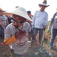 Buscadores de vida