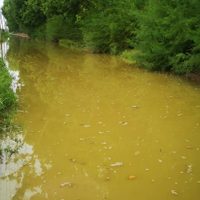 Se filtró agua del canal principal de riego de Centenario hacia las calles rurales