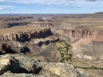 Entre fauna y paisajes imponentes: la aventura que convierte al puma en protagonista de Parque Patagonia