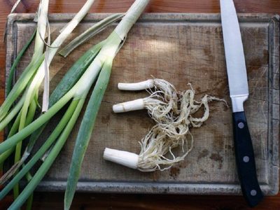Si comprás cebolla de verdeo, no tires esto: mirá cómo tener tu propia planta en casa
