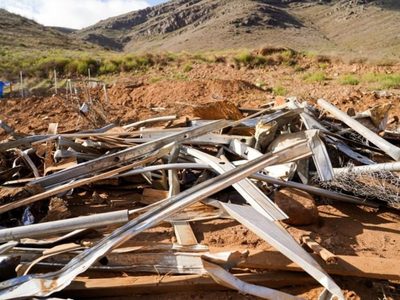 Empresas derriban un albergue con maquinaria pesada y matan a 22 perros y gatos (Video)