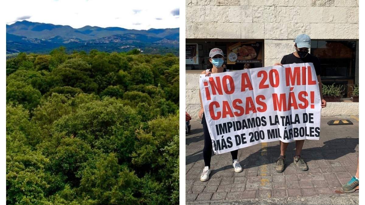 Lugar donde planeaban construir el proyecto Bosque Diamante en Jilotzingo y protestas de activistas