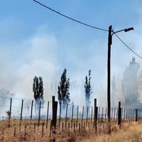 Un incendio de pastizales se propagó rápidamente en el barrio Confluencia Rural de Neuquén