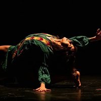 Tras polémica por vínculo con gobierno israelí, festival de danza anuncia cancelación de artistas