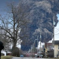 Alrededor de 45.000 animales fallecieron por el descarrilamiento del tren en Ohio